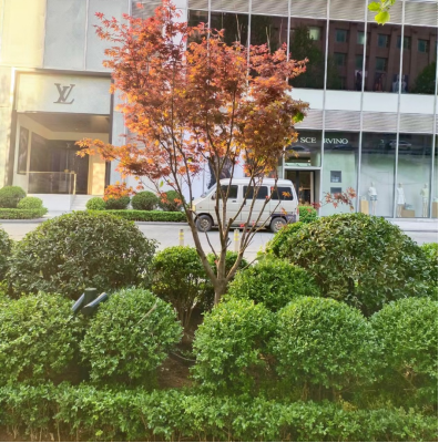 時(shí)代廣場