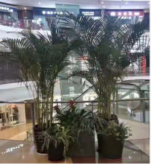 凱丹廣場