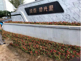 悅泰拾光(guāng)裏